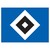 HSV logo