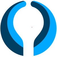 DEBAY IP logo