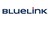 BlueLink Group logo