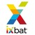 CGSI - iXBAT ERP for construction logo