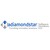 Hadiamondstar Software Solutions LLC logo