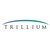 Trillium Solutions Group, an E78 Partners Company logo