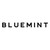 BLUEMINT logo