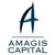 Amagis Capital: Fin-Tech,  Financial Advisory, Cloud & Cybersecurity logo