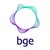 Baltimore Gas and Electric logo