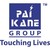 Logo de Power Engineering (India) Pvt Ltd