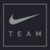 Nike TEAM Sports logo