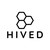 Hived.ai logo