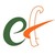 Eficens Systems logo