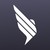 Insured Nomads logo
