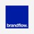 brandflow logo