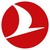 Turkish Technic logo