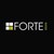 Forte Store® logo