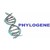 PHYLOGENE logo