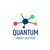 Quantum Energy Solutions logo