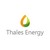 Thales Energy logo