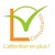 LV Consultants logo