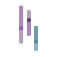 Sokowatch logo