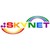Logo de Skynet Technology | Service integrator