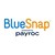 BlueSnap logo