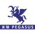 Pegasus Fund Managers Limited logo