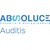 Auditis logo