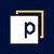 Panaseer logo