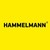 Logo de Hammelmann GmbH