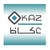 OKAZ Investments logo