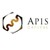 Apis Capital Advisors, LLC logo