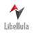 Libellula Software logo