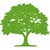 White Oak Underwriting Agency Limited logo