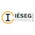 IÉSEG CONSEIL Paris logo