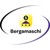 Bergamaschi logo