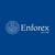 Logo di Enforex - Learn Spanish in Spain and Latin America