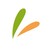 Salut logo