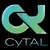 CyTAL logo
