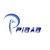 PIBAB S.A logo