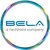 Bela Electronic Designs Ltd logo