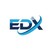 EverestDX Inc logo