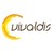 Vivaldis logo