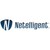 Netelligent logo