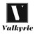 Valkyrie Fund logo