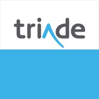 Triade logo