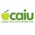 Capital Area Intermediate Unit logo
