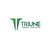 Triune Energy Services Pvt. Ltd. logo