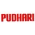 Pudhari Publications Pvt Ltd logo