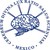 Instituto Nacional de Neurología y Neurocirugía logo