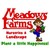 Logo di Meadows Farms Nurseries & Landscaping