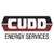Cudd Energy Services logo